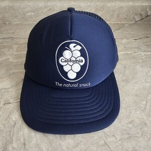 Vintage Trucker Hat California Grapes the Natural Snack